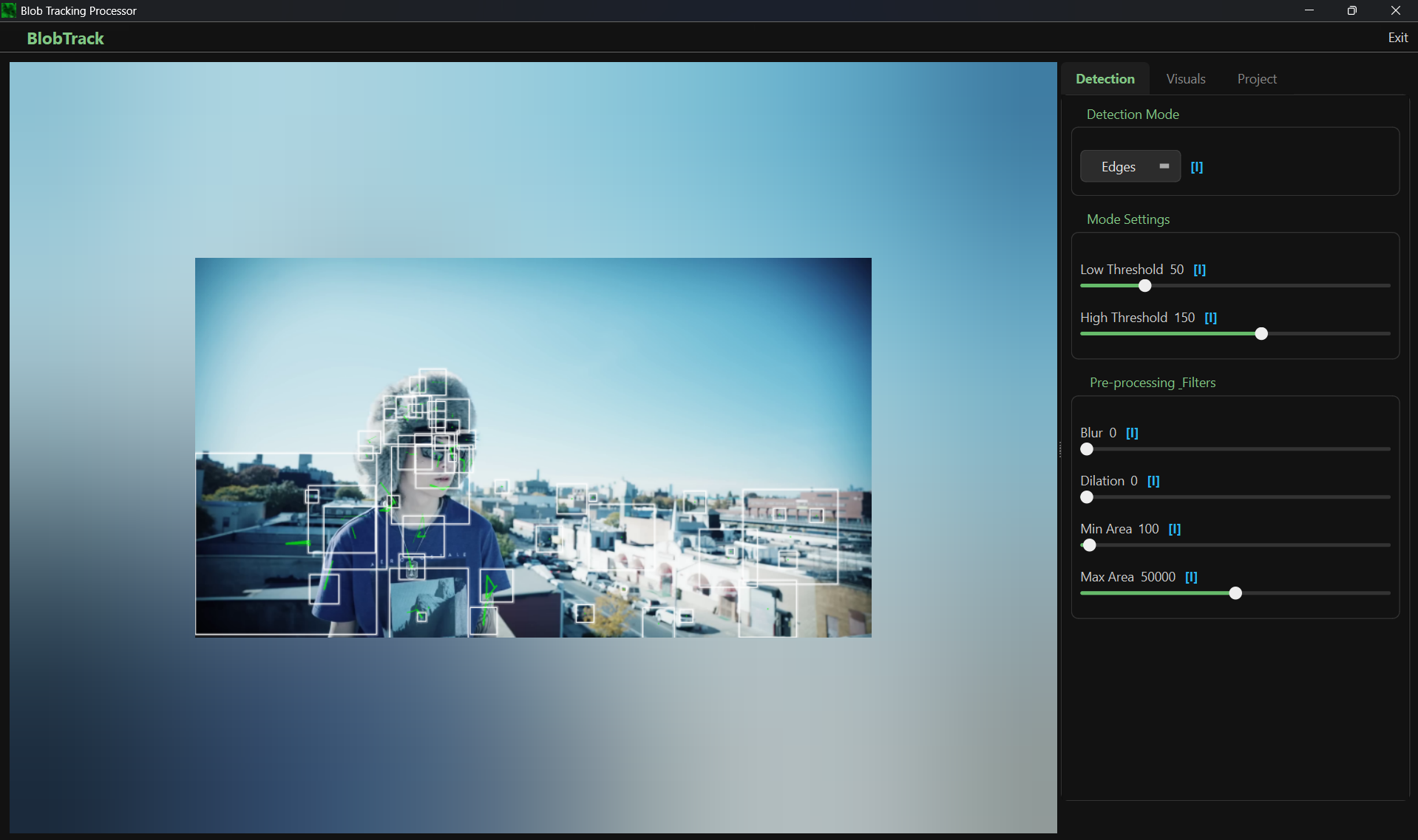BlobTrack Interface